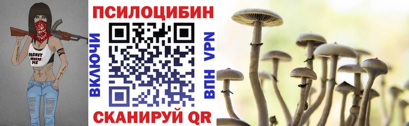кракен сайт Анадырь нарко площадка Telegram Псилоцибиновые грибы прущие грибы